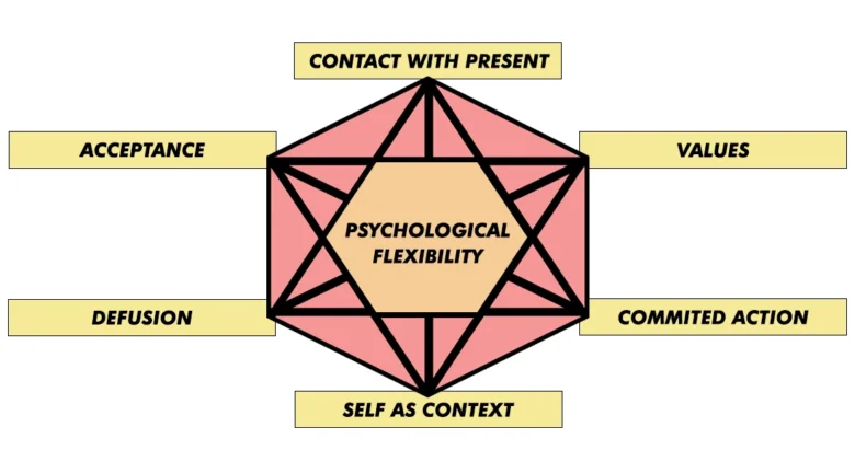 Hexaflex Model of Psychological Flexibility