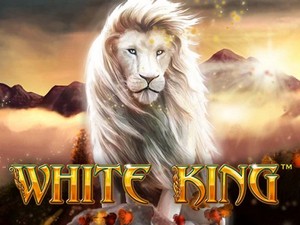 White King slots game