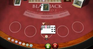 Blackjack table mid hand. Player 19 vs Dealer 5. Hit or stand?